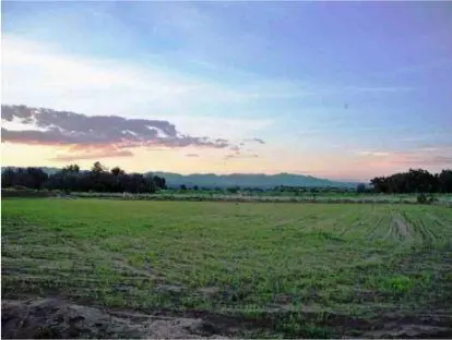 Tract 12b, Pena Blanca, NM 87041
