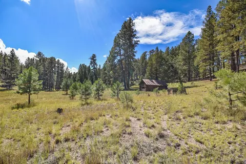 27 5 Acres Jemez Mountain Forest Rd 10, Jemez Springs, NM 87025