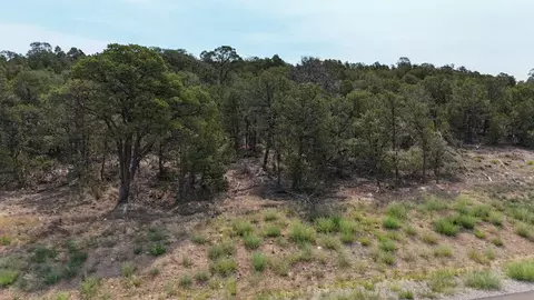 132 Prestige Dr, Tijeras, NM 87059