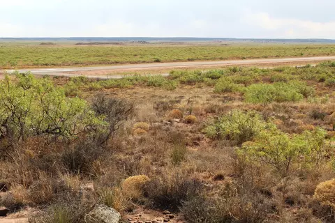 lot S 25-26 Nickel Ln, Conchas Dam, NM 88416
