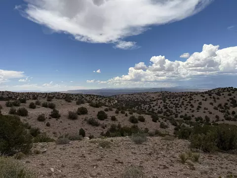 Caballo Palido, Placitas, NM 87043