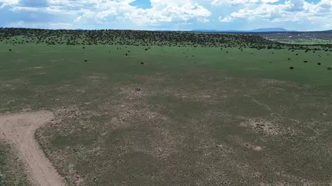 lot169 Deer Cir, Quemado, NM 87829