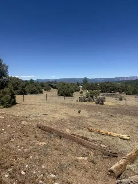 49 Heron P1 49a Private Rd # A, Tierra Amarilla, NM 87575