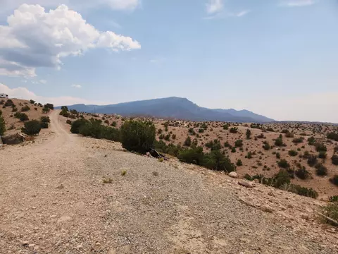 Flying Dog Rd, Placitas, NM 87043