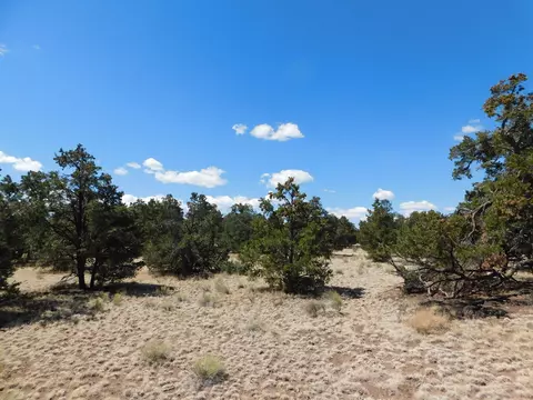 15 River Ln, Quemado, NM 87829