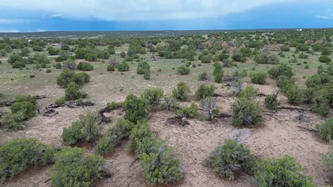 lot36 Arrow Ln, Quemado, NM 87829