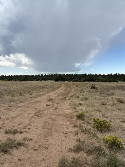 60 Gonzales Rd, Tijeras, NM 87059