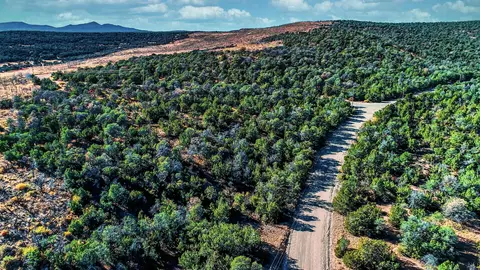 Twin Peaks Drive, Estancia, NM 87016