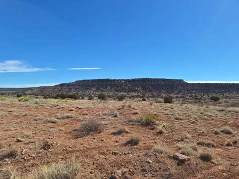 E Magnolia Road, Garita, NM 88421