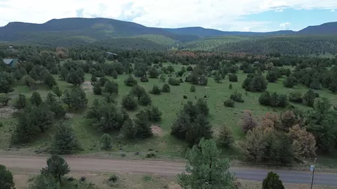 lot N 12 Largo Canyon Loop, Quemado, NM 87829