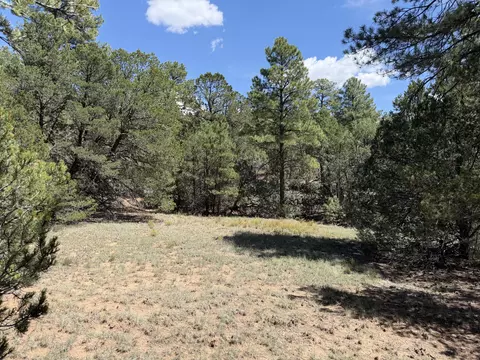 137 Raven Rd, Tijeras, NM 87059