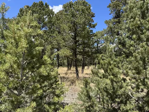 17 Wild Wings Cir, Pecos, NM 87552