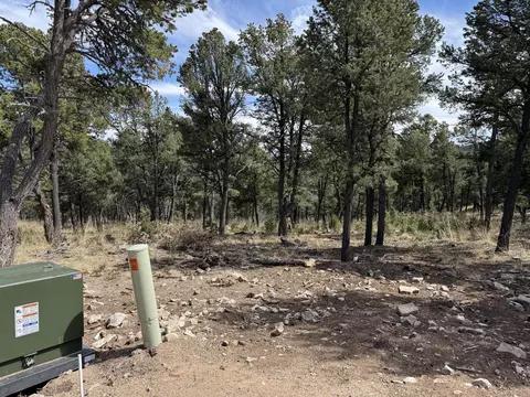 lot26 Birds Of A Feather, Pecos, NM 87552