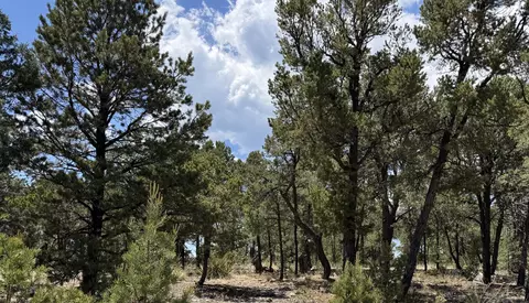 7 Dancing Hawk Dr, Pecos, NM 87552