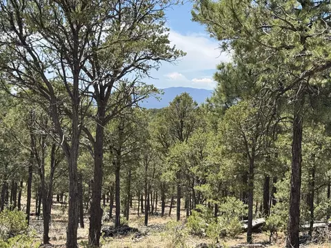lot20 Dancing Hawk Dr, Pecos, NM 87552