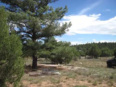403 Juan Tomas Rd, Tijeras, NM 87059