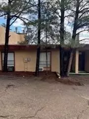 102 Thunder Mountain Ct, Alto, NM 88312