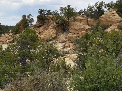 lot S 10-11 Old Well Rd, Ramah, NM 87321