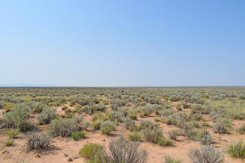 lot4 Rio Del Oro #11, Los Lunas, NM 87031