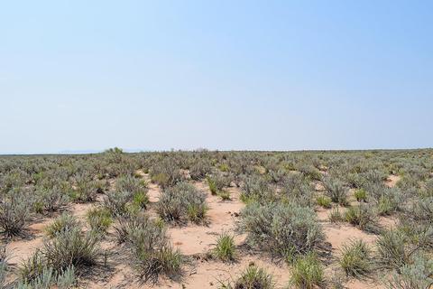 lot17 Rio Del Oro #14, Belen, NM 87002