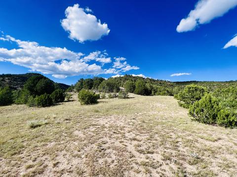 642 Co Rd B43b, Ilfeld, NM 87538