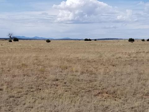 40 Giruado Rd, Estancia, NM 87016
