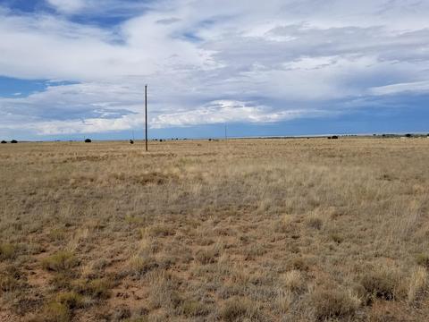 46 Giruado Rd, Estancia, NM 87016