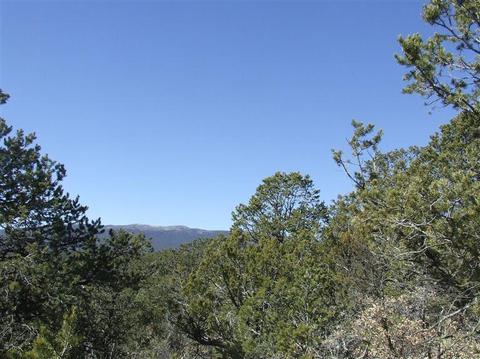 91 Lost Valley Loop, Cedar Crest, NM 87008 photo 1