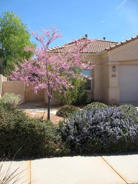 4916 Skyline View Ct Ne Albuquerque Nm Photos Mls Movoto 4916 Skyline View Ct Ne Albuquerque Nm Photos Mls Movoto