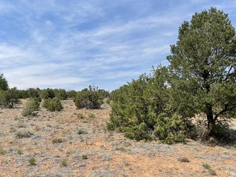 153 Paa Ko Dr, Sandia Park, NM 87047
