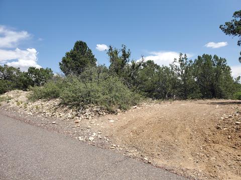 24 Mulberry Loop NE, Cedar Crest, NM 87008 photo 1