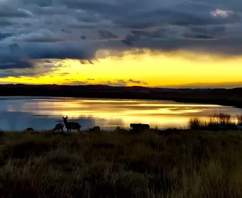 lot68 Shoreline Dr, Buffalo, WY 82834