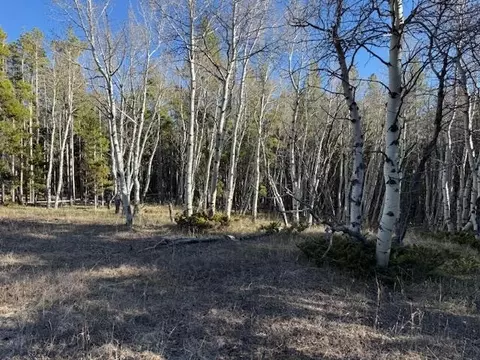 6 44 Acres Trail Rd, Casper, WY 82601