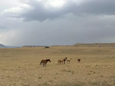 Tract 305 Big Horn Dr, Laramie, WY 82070