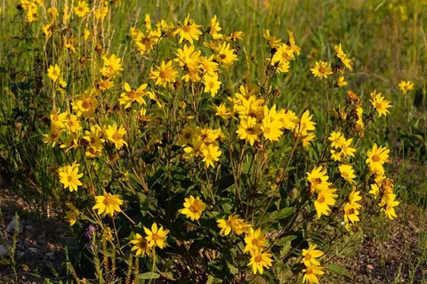 Tract 353 South Rd, Cheyenne, WY 82009