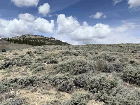 Comm Unit A Lot 68, Kemmerer, WY 83101