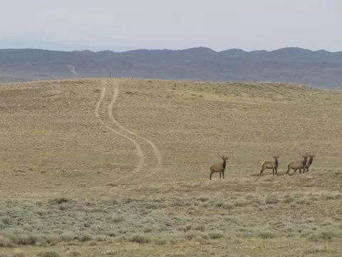 0 Shamrock Rd, Rawlins, WY 82301