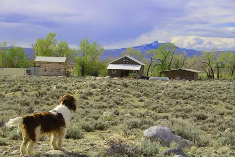 52 Road 8uc, Clark, WY 82435
