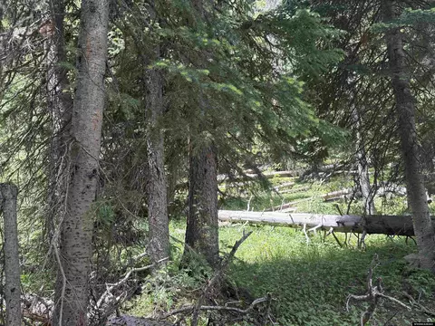 45 Overlook, Elk Mountain, WY 82324