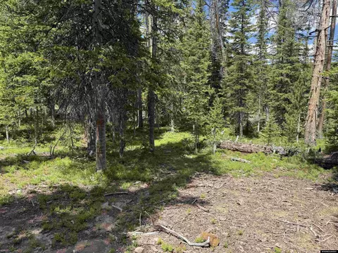 27 Overlook, Elk Mountain, WY 82324