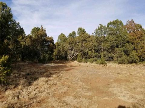 3 View, Cedar Crest, NM 87008 photo 5