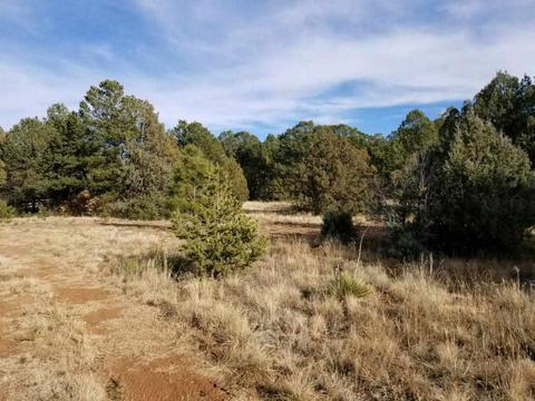 3 View, Cedar Crest, NM 87008 photo 4