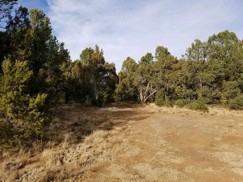 3 View, Cedar Crest, NM 87008 photo 6