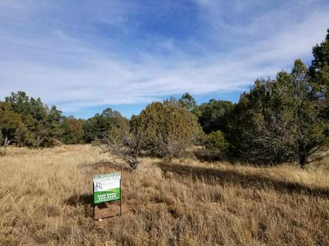 3 View, Cedar Crest, NM 87008 photo 7