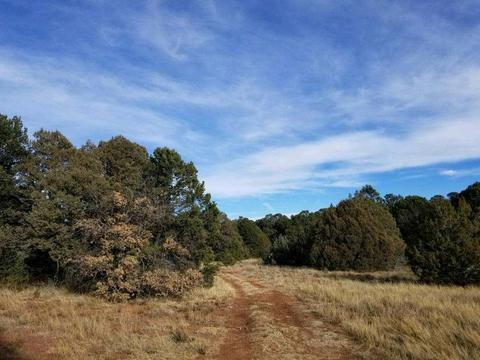 3 View, Cedar Crest, NM 87008 photo 1