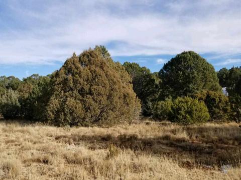 3 View, Cedar Crest, NM 87008 photo 2