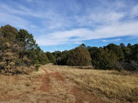 3 View, Cedar Crest, NM 87008 photo 11