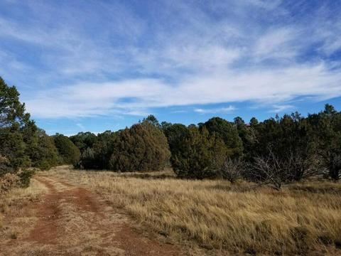 3 View, Cedar Crest, NM 87008 photo 12