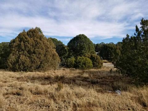 3 View, Cedar Crest, NM 87008 photo 10