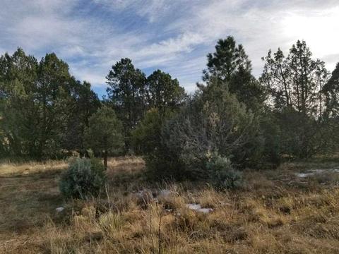 3 View, Cedar Crest, NM 87008 photo 9